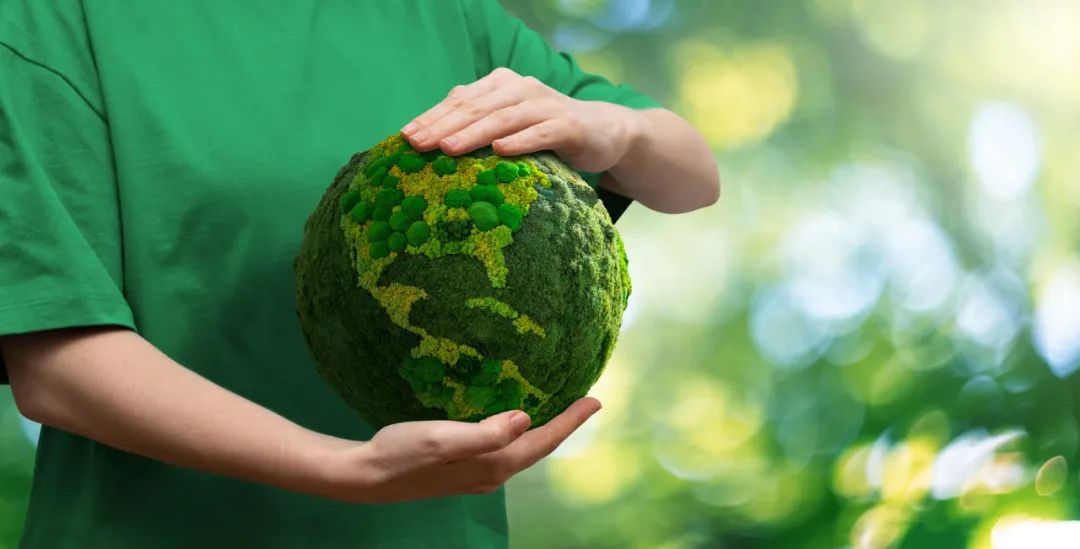 Z6·尊龙时凯「中国区」-Delight the World